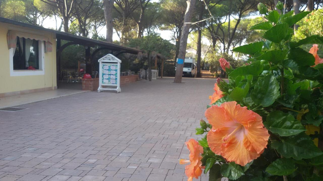 Camping Village Il Sole 마리나디그로세토 외부 사진